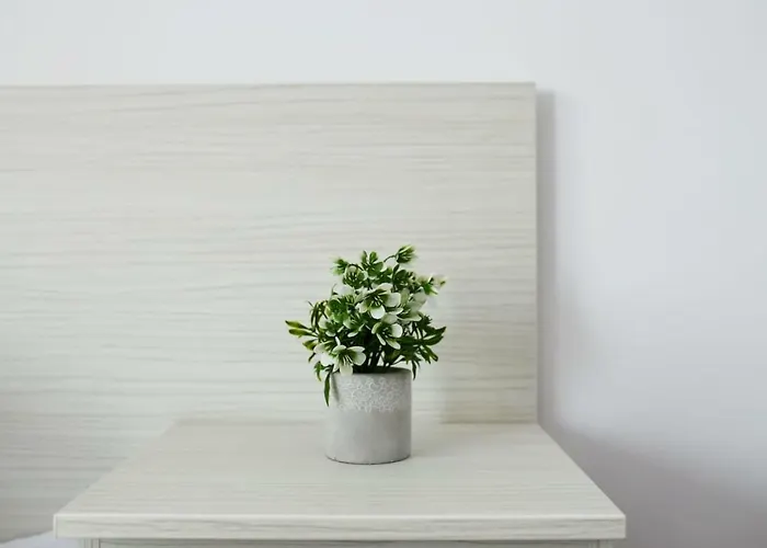 招待所 Casa Margo 艾福雷诺德