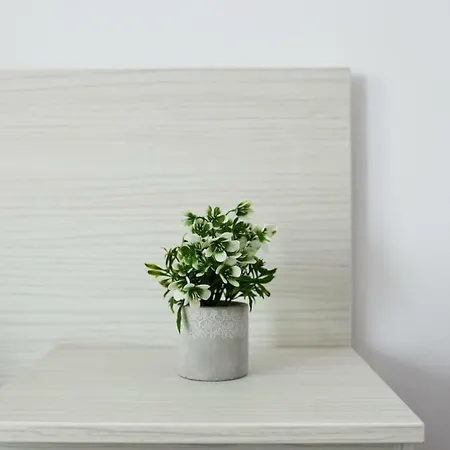 בית הארחה Casa Margo אפורי נורד