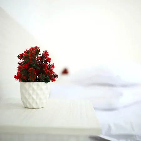 Casa Margo Eforie Nord