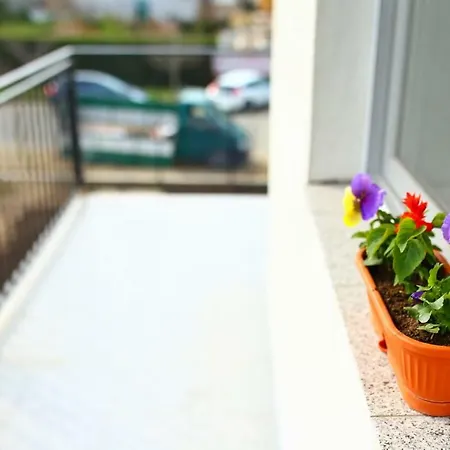 Casa Margo בית הארחה