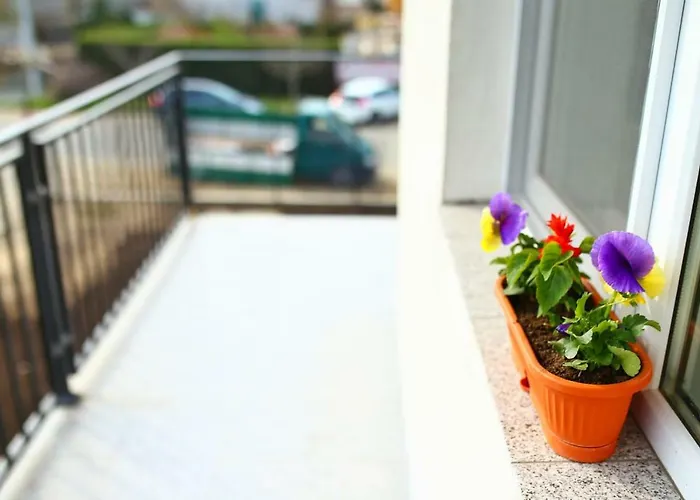 Casa Margo Guest house